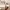 Avirex Vintage Streetwear Casual pants Pria tan khaki photo 4