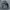 Airwalk Snowboard Winter Jacket