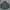 Firefly Multi Pocket Tactical Jacket
