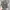 realtre camo blank photo 1