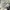 NEW BALANCE 9060 GREY MATTER TIMBERWOLF , NEW BALANCE 9060 G photo 7