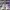 NEW BALANCE 9060 GREY MATTER TIMBERWOLF , NEW BALANCE 9060 G photo 2