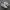 nike af1 photo 1