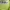 Universal Studios Streetwear Bodysuit Wanita green photo 3