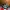 Nike Tn Air Max Plus Aqua photo 1