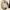 one set  photo 1