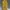 Streetwear Shoulder Bag Wanita Yellow