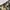 GIOVEN KELVIN PARIS Realtree Cargo Shortpants (2) photo 4