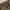 BACK NUMBER Japan Military Cargo Shortspants Camo photo 3