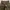 BACK NUMBER Japan Military Cargo Shortspants Camo photo 6