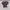 COLORBOX Minimalist Casual Crop top Wanita multicolor photo 5