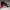 Sneaker Look AJ1 Retro Bred photo 2