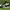 Nike airmax speed turf Chlorofyl (rare) photo 3
