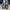 Vans Style 36 decon Checkerboard True blue  photo 1