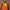 NFL YOUTH PEYTON MANNING DENVER BRONCOS photo 1