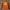 NFL YOUTH PEYTON MANNING DENVER BRONCOS photo 2