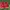 Nike kyrie 3 red suede photo 4