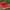 Nike kyrie 3 red suede photo 2