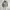 Vintage Casual Spring Autumn Korean Lapel Work Jacket