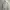 Adidas Tracktop, White  photo 4