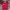 Manchester united MU jersey home 2022/2023 photo 1