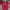 Manchester United MU Jersey Home 2022/2023