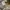 CARHARTT SHORT CARPENTER CAMO photo 6