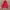 HOODIE OBEY SPELLOUT photo 1
