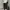 SWEATPANTS SPAO JOGGER FIT SECOND ORIGINAL photo 1