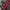 Vintage Ferrari F1 Jacket photo 2