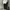 SWEATPANTS NATIONAL GEOGRAPHIC SLIM FIT SECOND ORIGINAL photo 1