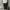 SWEATPANTS NATIONAL GEOGRAPHIC SLIM FIT SECOND ORIGINAL photo 3