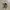 Converse 70s White photo 3