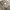 Cargo gu super wide photo 4