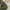 Cargo gu super wide photo 5