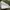 Cargo gu super wide photo 4