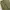 Cargo gu super wide photo 3