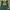 GREEN BAY PACKERS WOMAN Y2K photo 1
