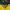 GREEN BAY PACKERS WOMAN Y2K photo 6