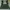 GREEN BAY PACKERS WOMAN Y2K photo 2