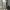 SWEATPANTS F2F SECOND ORIGINAL photo 3