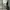 SWEATPANTS F2F SECOND ORIGINAL photo 1