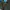 CAROLINA PANTHERS NFL JERSEY photo 5