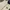 Fast Lacoste photo 2