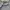 Nike Streetwear Sportswear T-shirt Pria gray photo 5