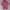 Adidas Womens jersey photo 1