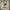 Gucci Garden Tote Bag Black Beige Leather  photo 3