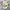 Gucci Garden Tote Bag Black Beige Leather  photo 8