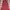 Sleeveless Blouse PAPRIKA
