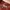 sleeveless blouse PAPRIKA photo 2
